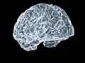 Related: Brain Starvation Discovery